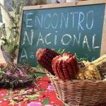 Agroecologia e democracia ocupam ruas de Belo Horizonte