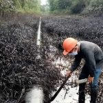 Derramamento de petróleo da Repsol: a vida não tem preço!
