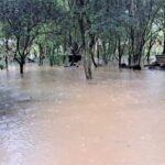 Enchentes já afetaram mais de 80 comunidades indígenas no RS; saiba como ajudar