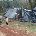Nota do Cimi: comunidades Kaingang, Avá-Guarani e Kaiowá são atacadas em três estados neste final de semana