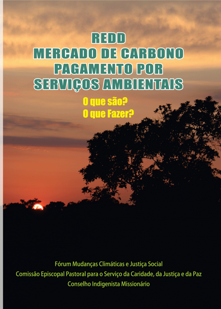 Read more about the article FMCJS divulga cartilha sobre Mercado de Carbono, REDD e PSA