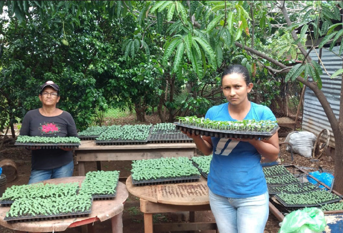 Cooperativa de mulheres da Nicarágua garante soberania alimentar e incidência pela equidade de gênero