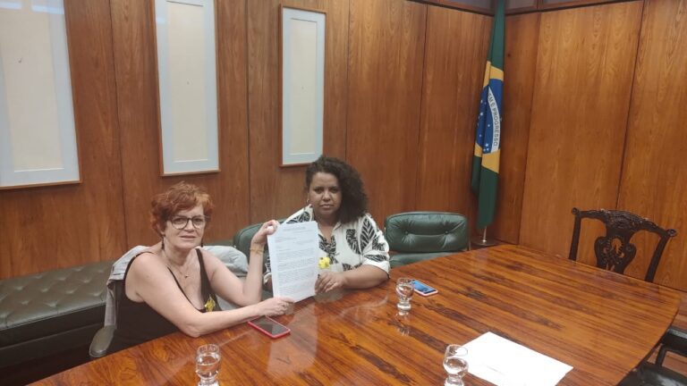 Read more about the article Organizações do Brasil e Paraguai entregam carta de apoio para reparações aos Avá-Guarani