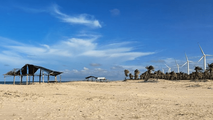 Relatório internacional aborda riscos da transição energética para defensores de direitos humanos