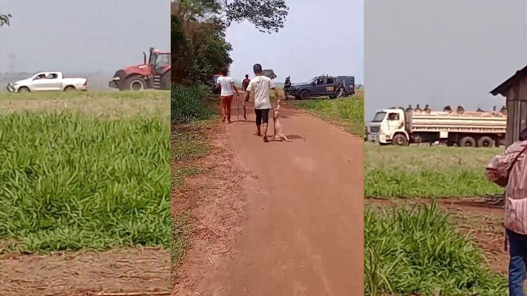 Leia mais sobre o artigo Paraná: bando usa caminhão e tratores para atacar retomada Avá-Guarani a tiros, agrotóxicos e pauladas