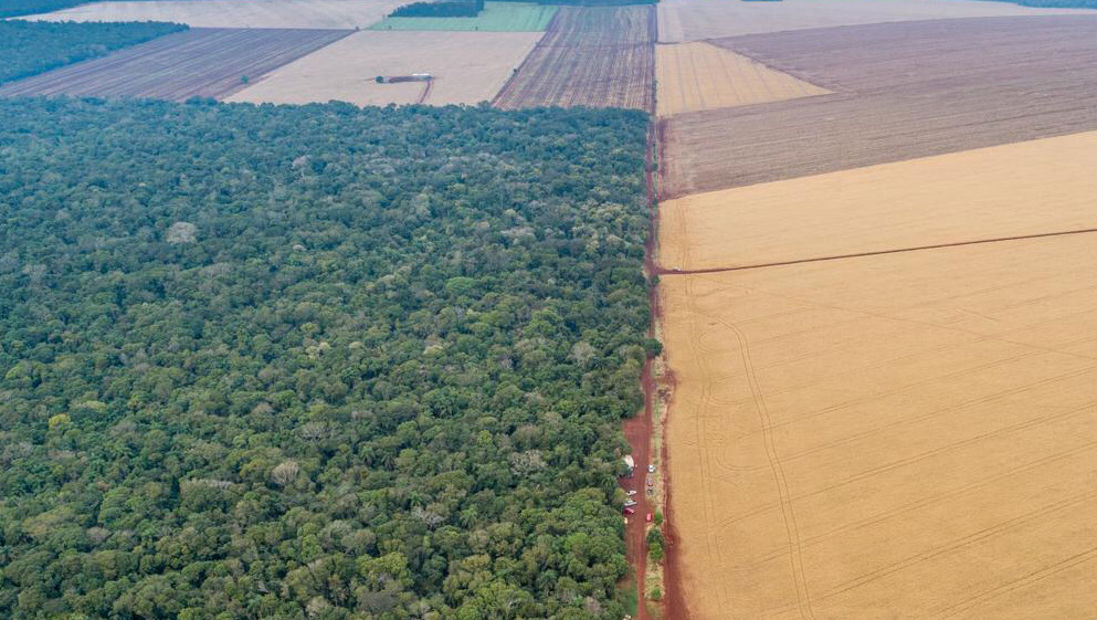 Foto de uma grande área de terra , parte mostrando floresta preservada e parte com plantio de soja do agronegócio.
